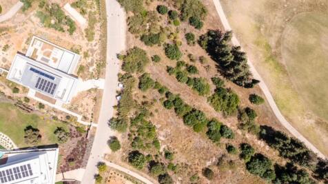drone 4 (Large).jpg