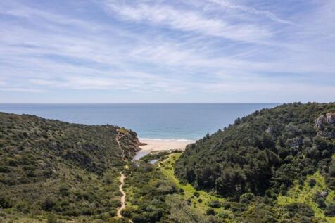 DJI_0771.jpg