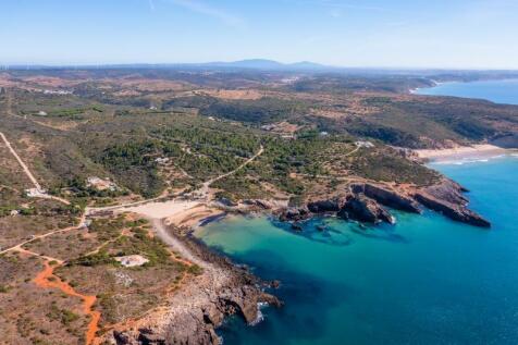 drone view (6).jpg