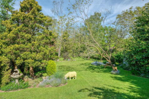 Property Image 37