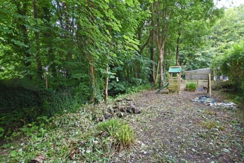 Private Wooded Area II.JPG