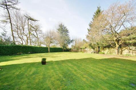 Communal Gardens II.JPG