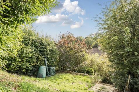 Rear Garden III.jpg
