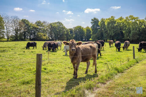 Farmland