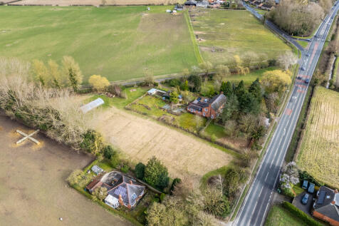 beechwood-6