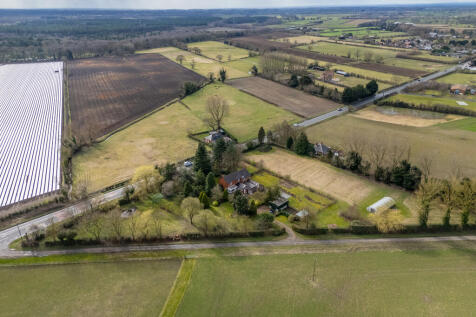 beechwood-3