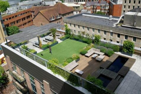 Rooftop Garden
