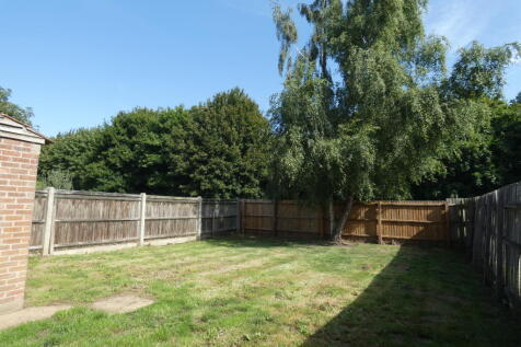 Pic 11 Garden (2).JPG