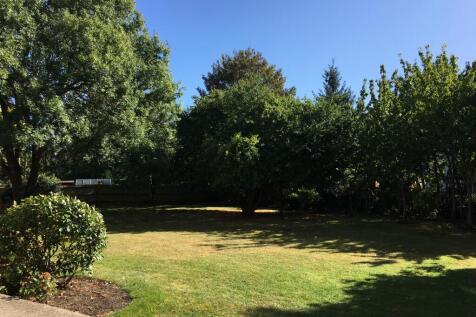 9 GARDEN.JPG