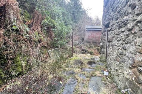 Rear Yard