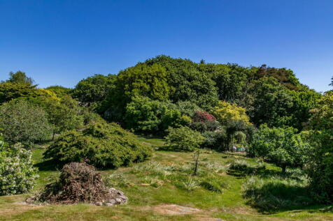 Property Image 42
