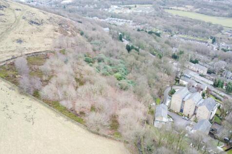 DJI 0003-min T202502181007.jpg