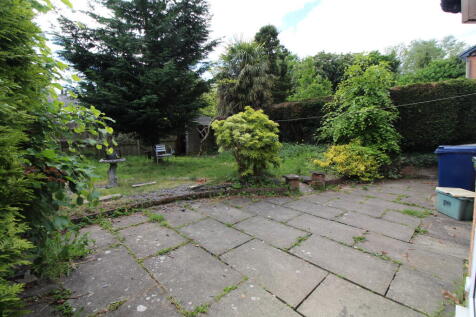 Back Garden T202505081059.jpg