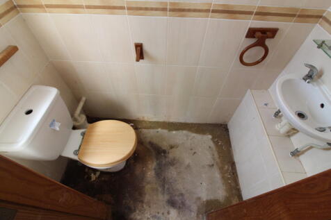 DS Toilet T202506301437.jpg