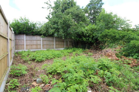 Garden 1 T202506301437.jpg