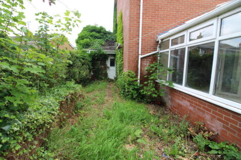 Garden 3 T202506301437.jpg