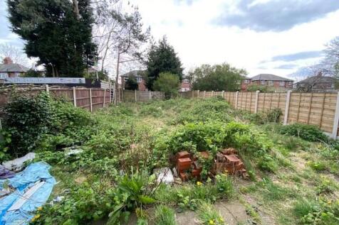 Garden T202508051049.jpg