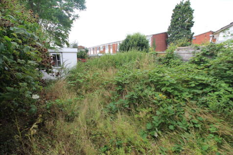Rear Garden T202508071637.jpg