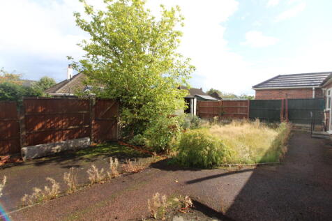 Garden T202509121456.jpg
