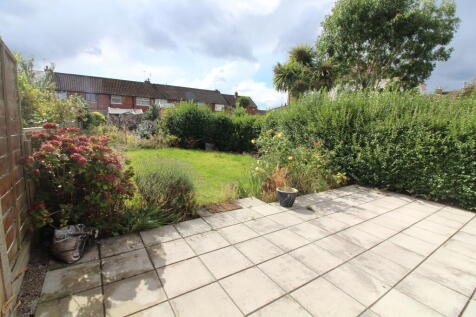 Garden T202509121602.jpg