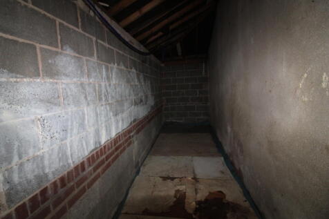 IMG 3600 T202509191513.jpg