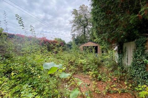GARDEN 2 T202509291505.jpg