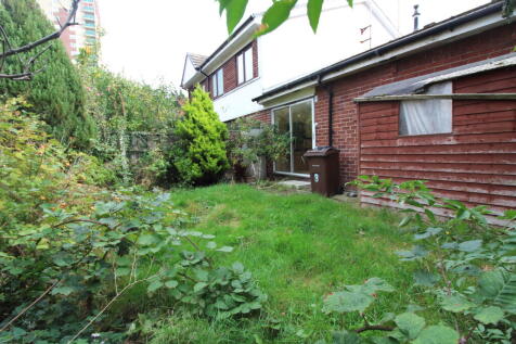 Garden 1 T202510101022.jpg