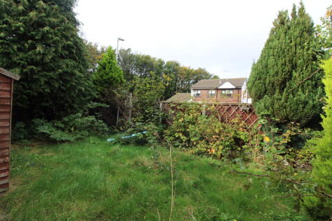 Garden 2 T202510101022.jpg