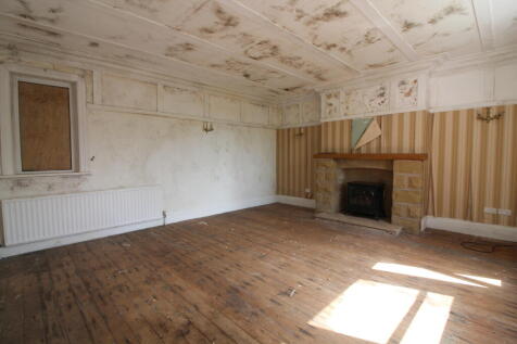 IMG 3173 T202507251439.jpg