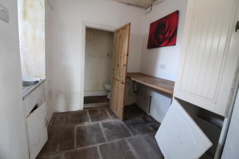 IMG 3177 T202507251439.jpg