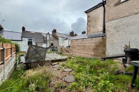 Garden T202509221419.jpg