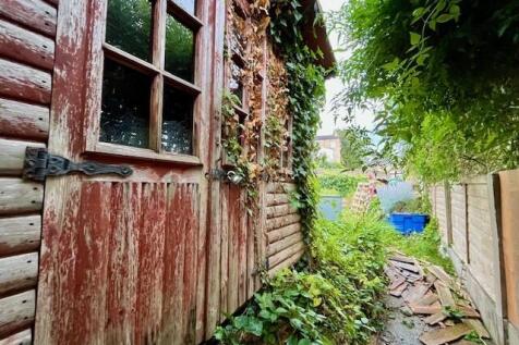 Garden 2 T202509221419.jpg