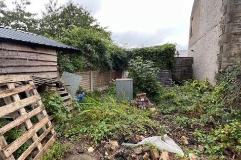 Garden 3 T202509221419.jpg