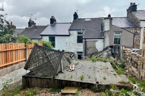 Garden 4 T202509221419.jpg