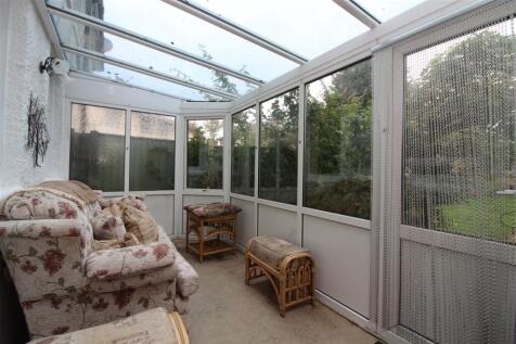 IMG 6894  Medium  T202510201246.jpg