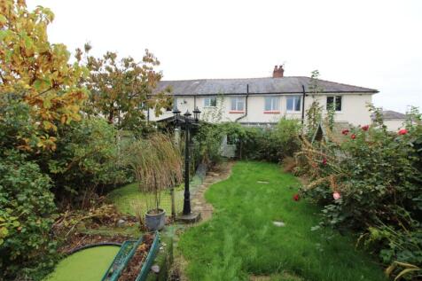 IMG 6880  Medium  T202510201246.jpg