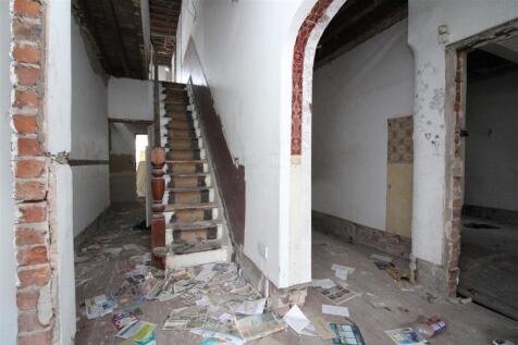 IMG 6409  Medium  T202508291659.jpg