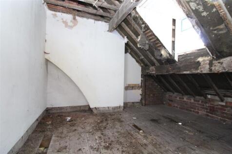 IMG 6435  Medium  T202508291659.jpg