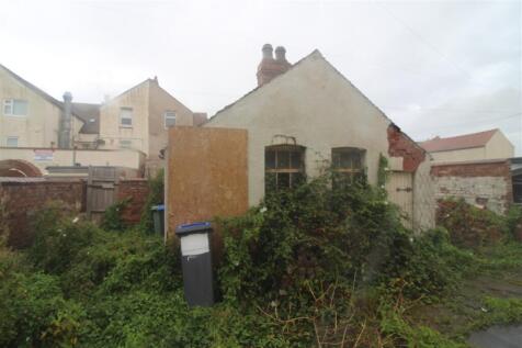 IMG 6443  Medium  T202508291659.jpg