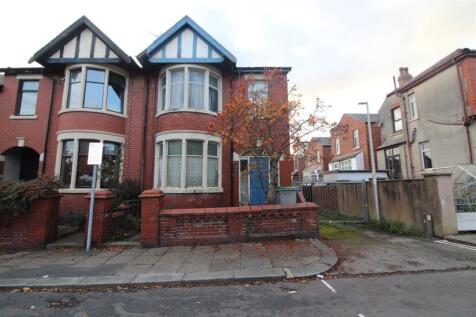 IMG 7071  Medium  T202510231250.jpg