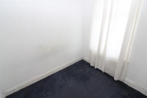 IMG 7088  Medium  T202510240907.jpg