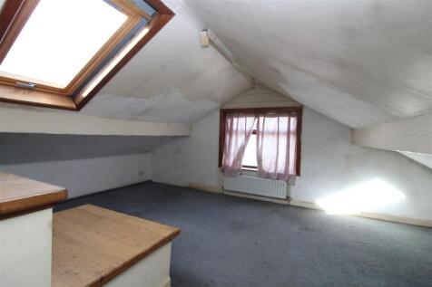 IMG 7093  Medium  T202510240907.jpg