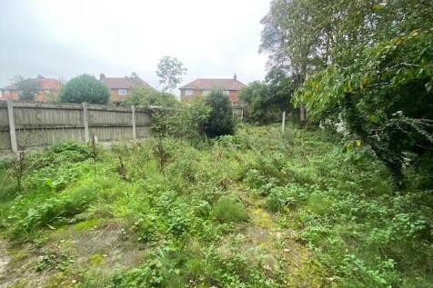 GARDEN T202510231607.jpg