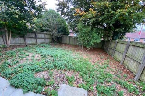 Garden T202510231632.jpg