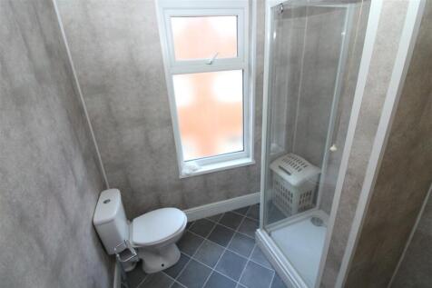 IMG 7130  Medium  T202510241353.jpg