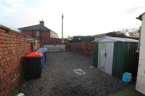 IMG 7142  Medium  T202510241353.jpg