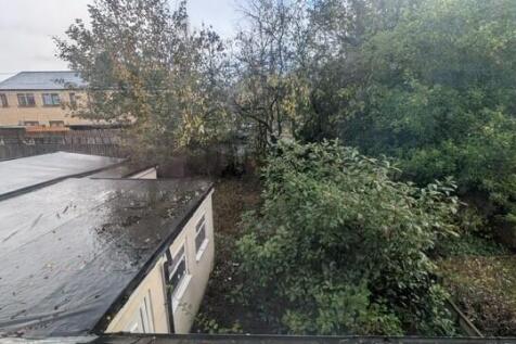 Rear T202510241554.jpg