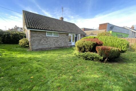 Garden 1 T202511181218.jpg