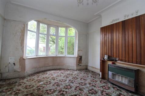 IMG 7158  Medium  T202510301105.jpg