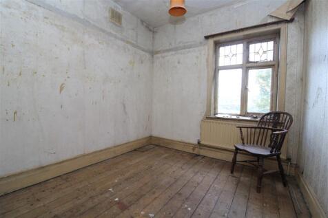 IMG 7161  Medium  T202510301105.jpg